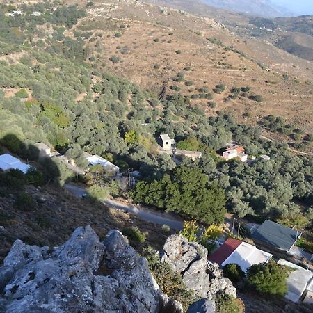 Garden Of Olive Trees Villa Asfendiles Kültér fotó