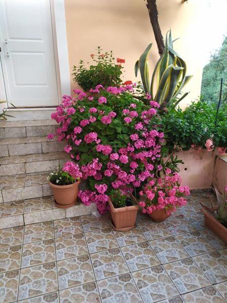 Garden Of Olive Trees Villa Asfendiles Kültér fotó