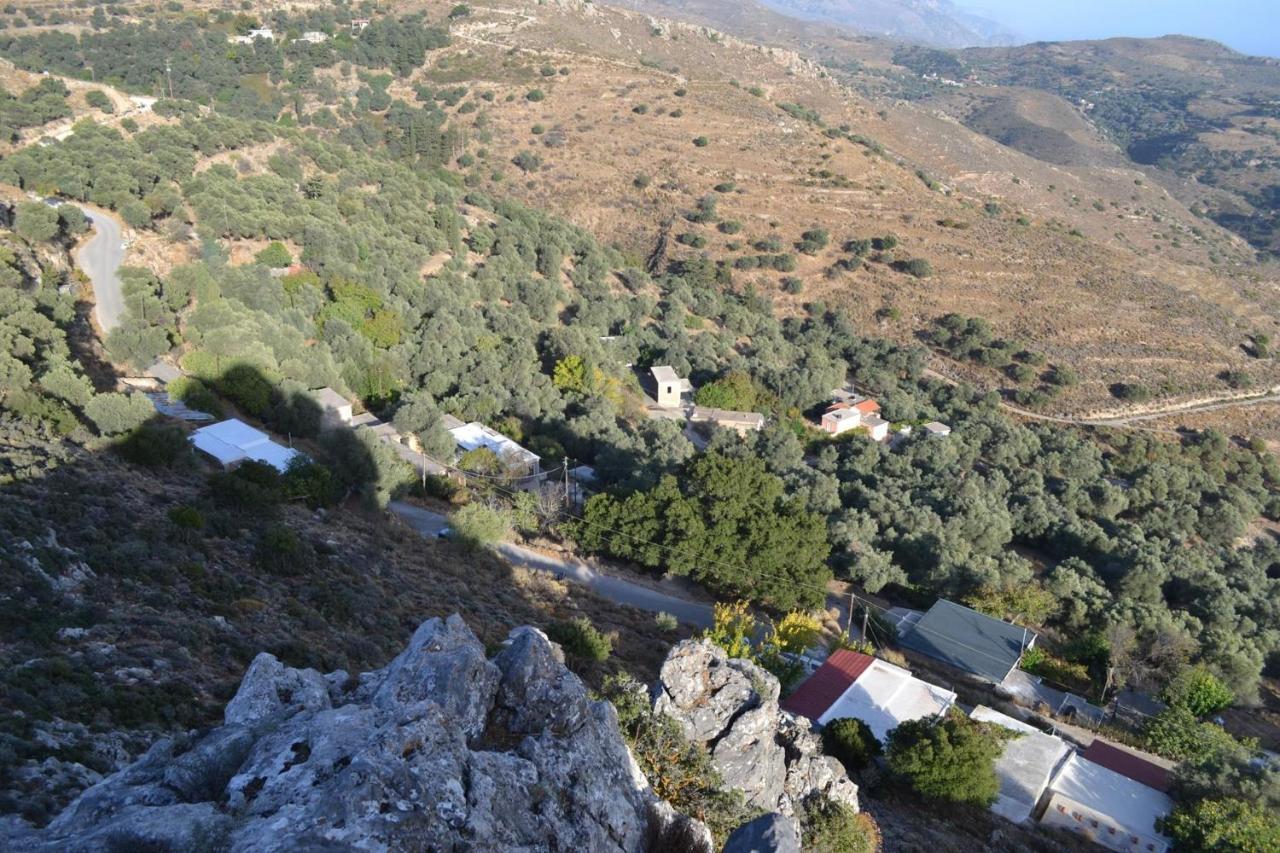 Garden Of Olive Trees Villa Asfendiles Kültér fotó